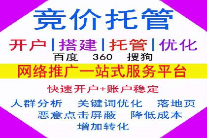 某品牌通过SEM关键词实现品牌推广的实战案例